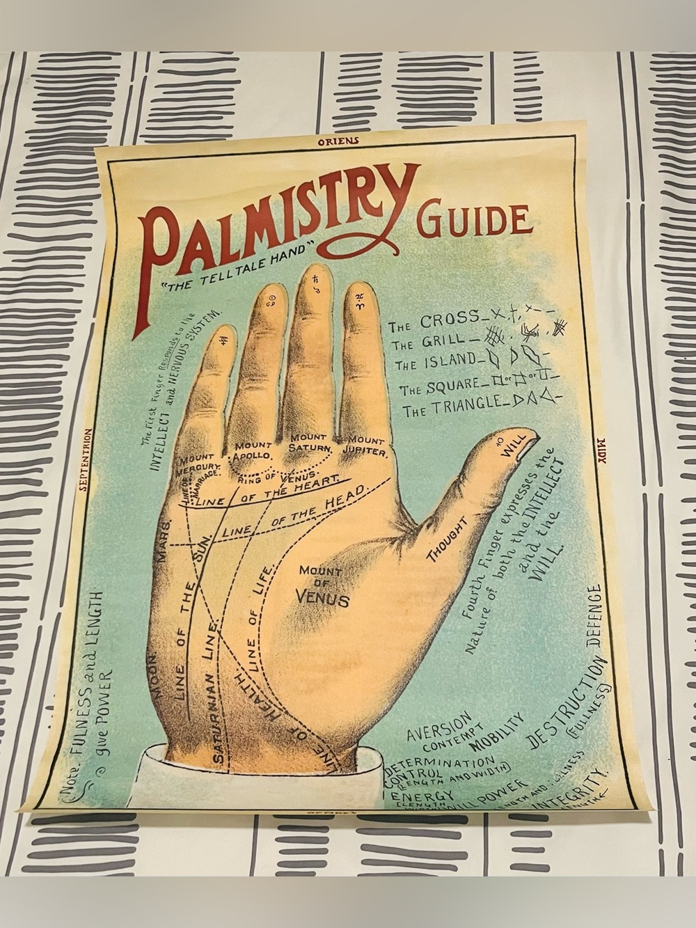 Palmistry Guide Vintage Style Wall Print/Poster (20x28”) Brand new ✨